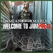 Welcome To Jamrock album cover